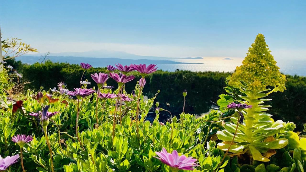 Vue Mer Panoramique Et Piscine Bandol Zewnętrze zdjęcie