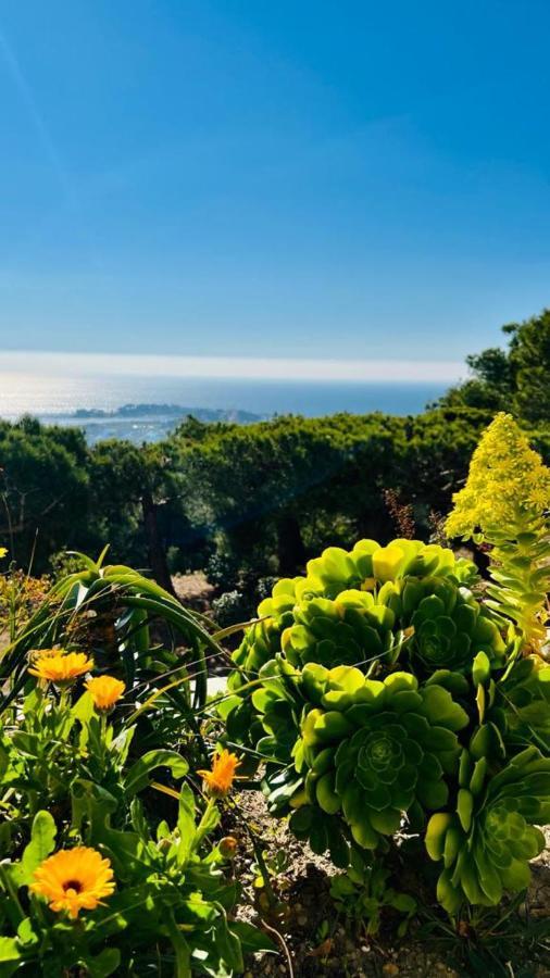 Vue Mer Panoramique Et Piscine Bandol Zewnętrze zdjęcie